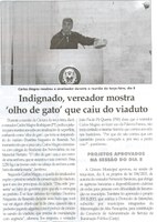 Indignado, vereador mostra "olho de gato" que caiu do viaduto. Jornal Correio da Cidade, Conselheiro Lafaiete, 18 mar. 2014, p. 2.